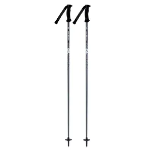 Power Composite Ski Poles 2024