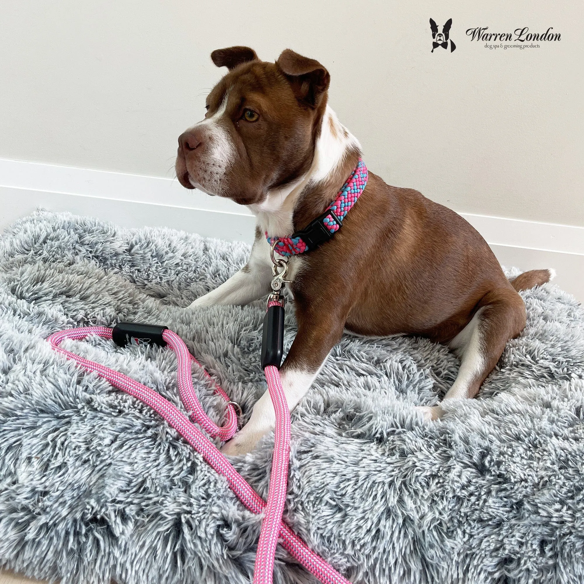 Rope Leash - Pink