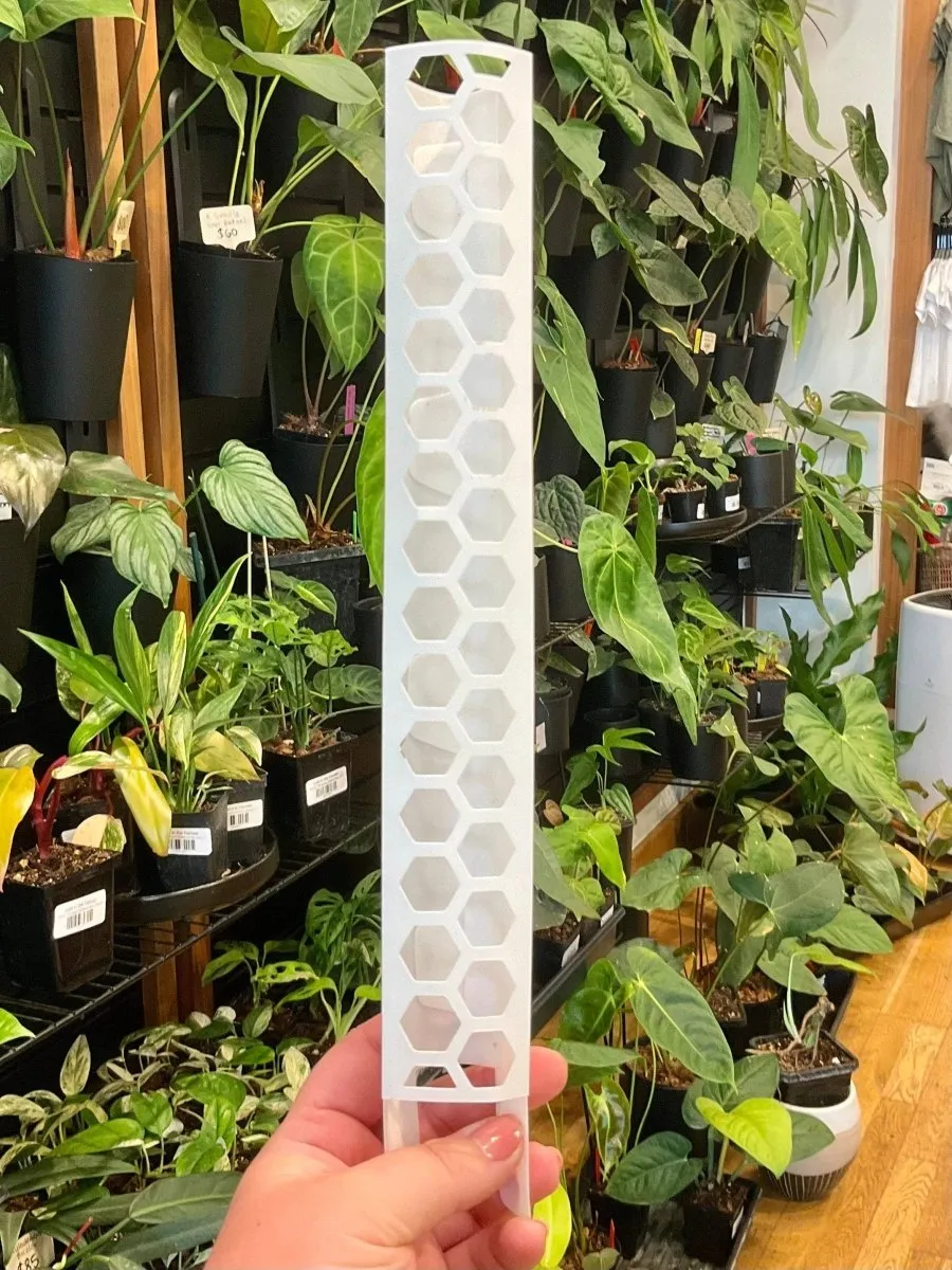 Stackable Plant Support Pole - Clear