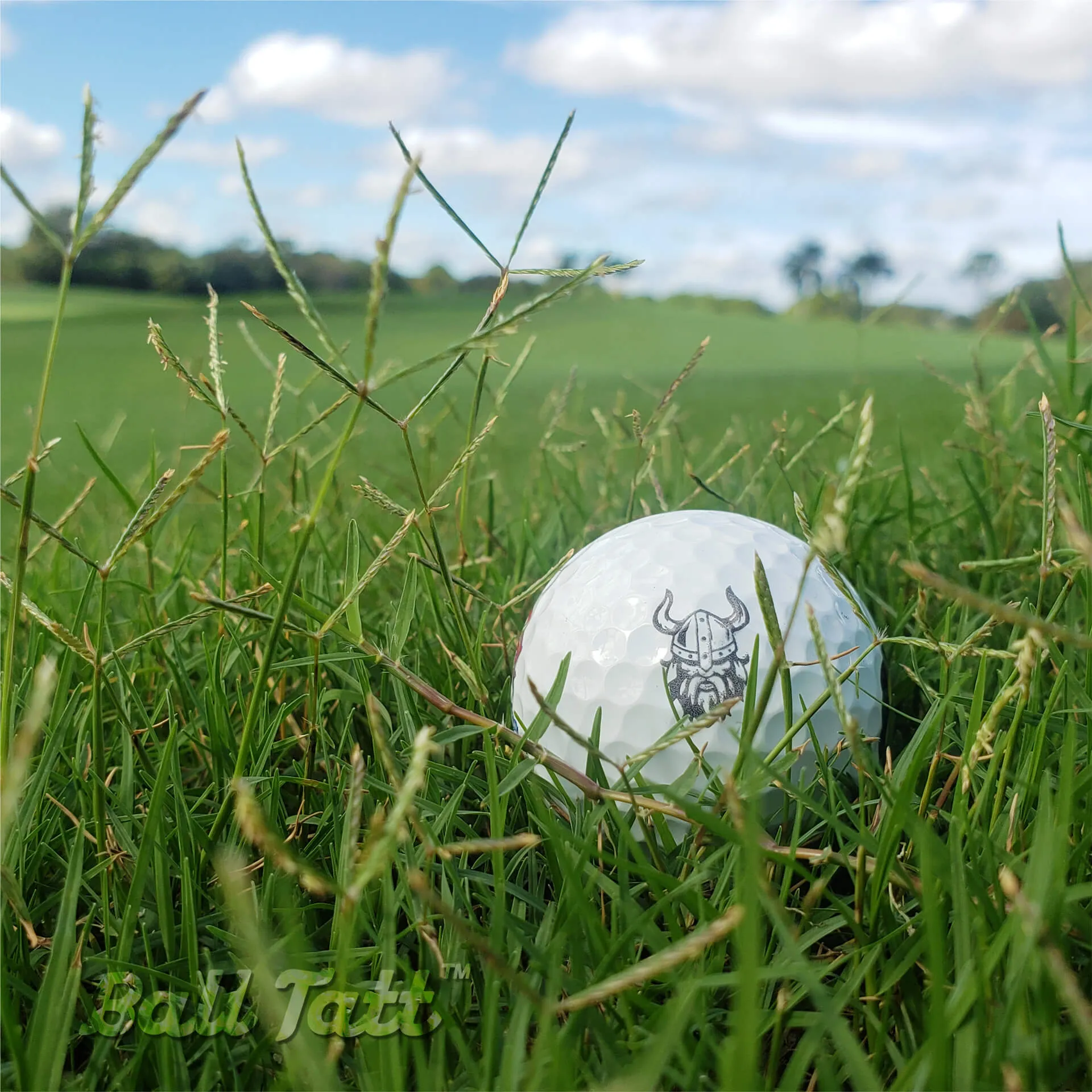 Viking Golf Ball Stamp